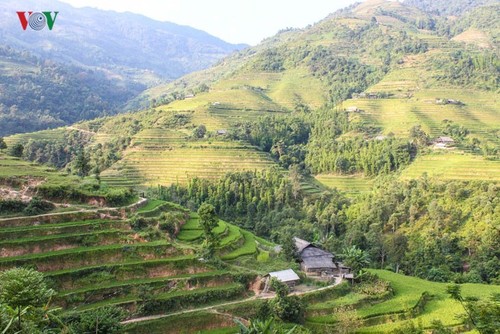 Terraced paddy fields in Tung San Commune - ảnh 6